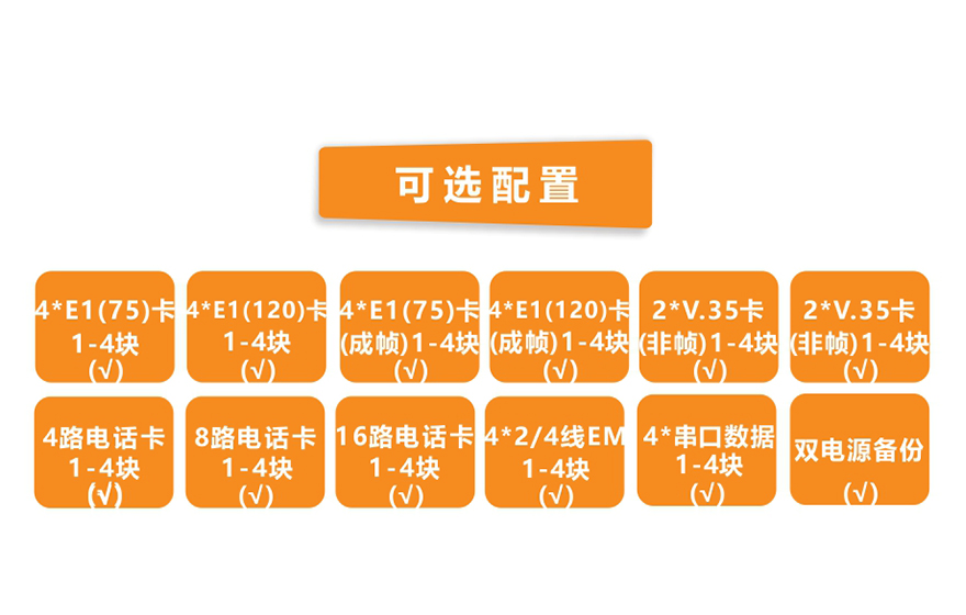 飞畅科技-模块化多业务  TDM Over IP  电路仿真网关